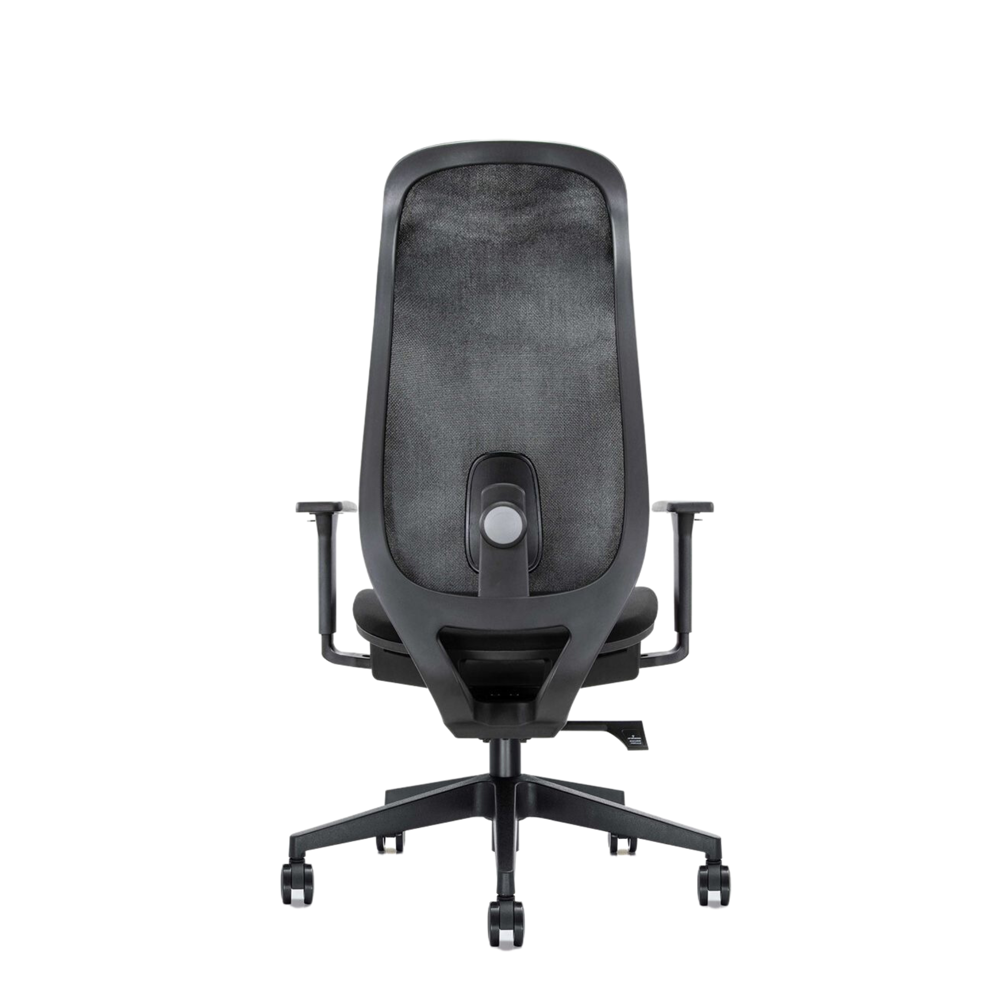 The Cygnet Chair