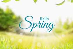 🌷 Spring into Productivity🌼