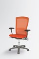 Life Chair