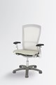 Life Chair